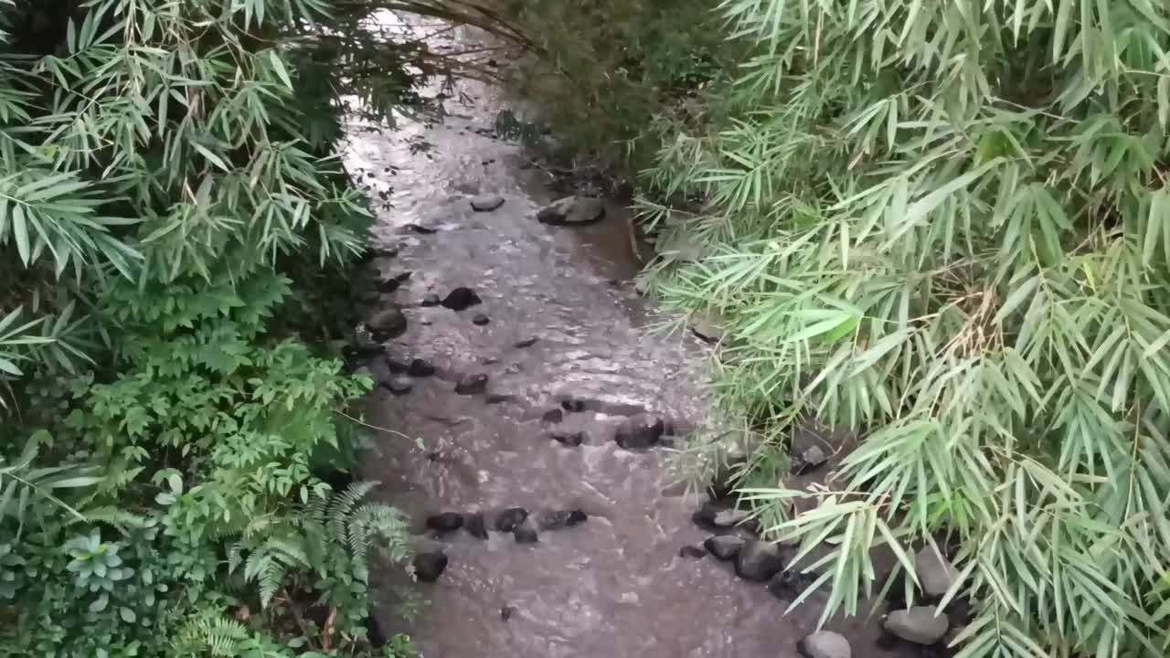 河水的流动视频素材