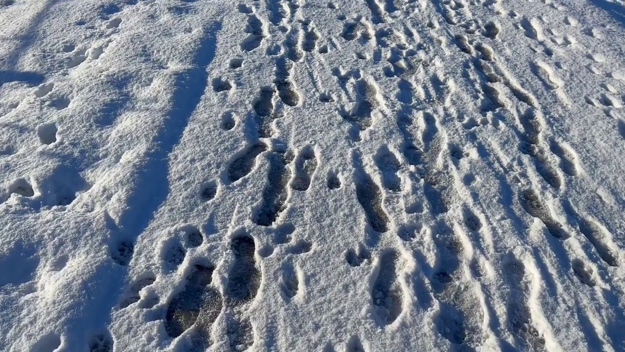 徒步穿越白雪覆盖的德国乡村视频素材