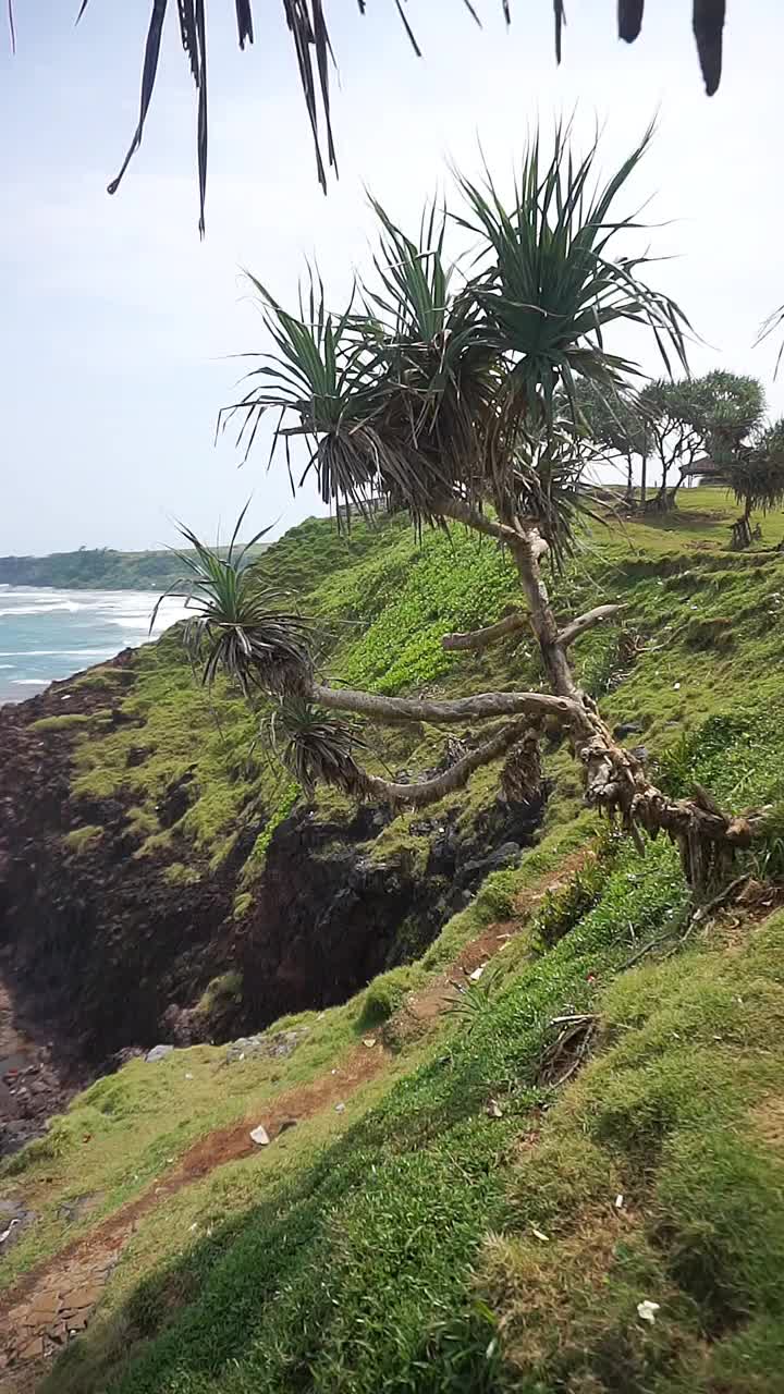 美丽的海滩，蓝色的海水，白天有大浪视频素材