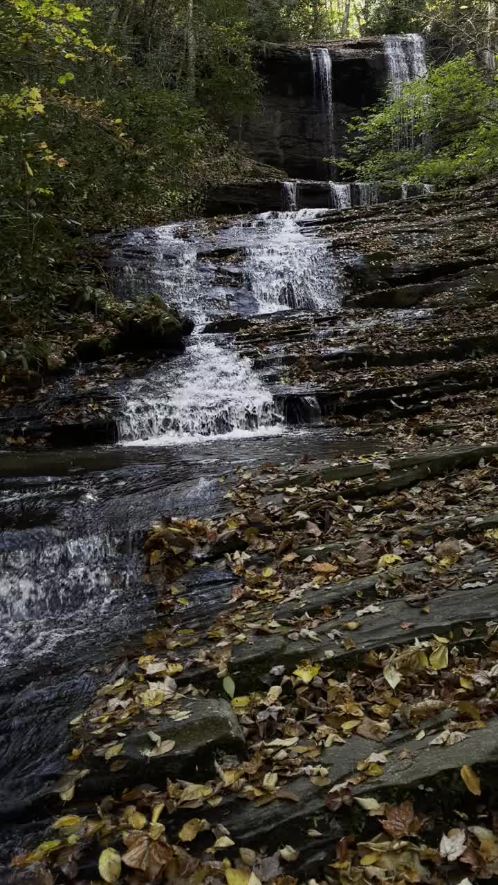 淡水，流动的溪流和瀑布视频素材