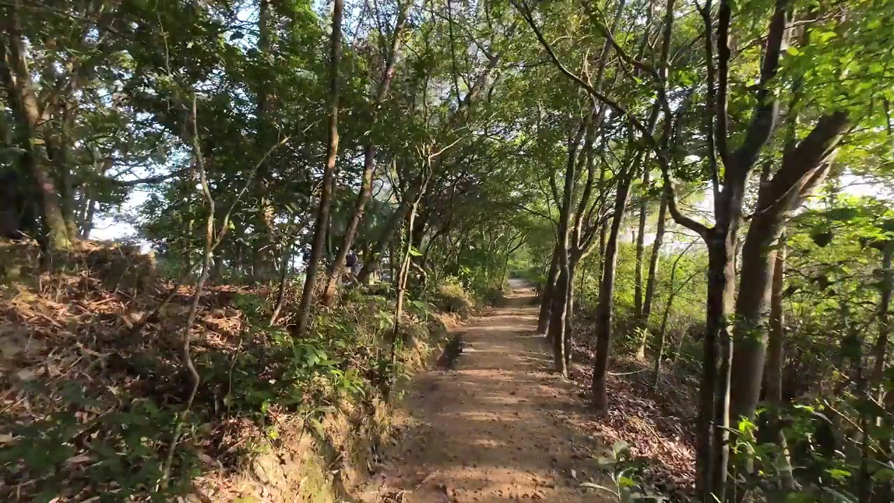 通往西贡鸭山的小路视频素材