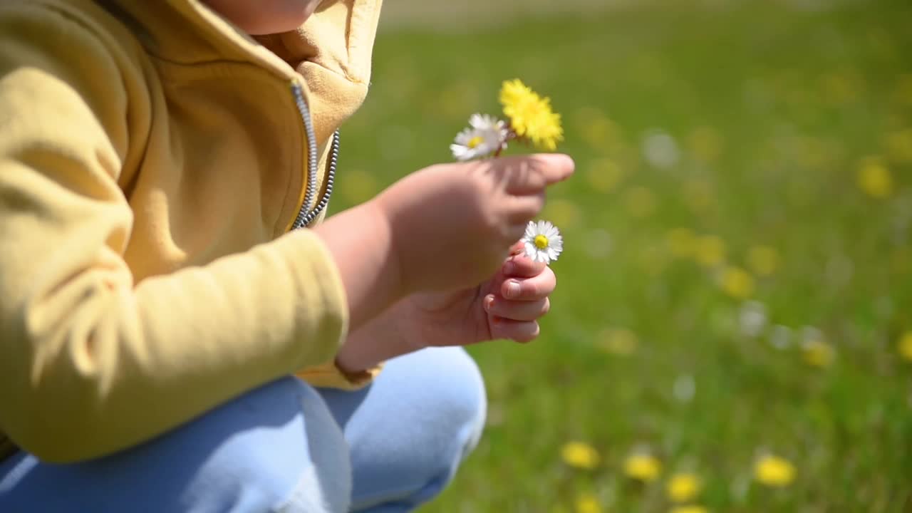 小女孩在草地上摘花——手持式视频素材