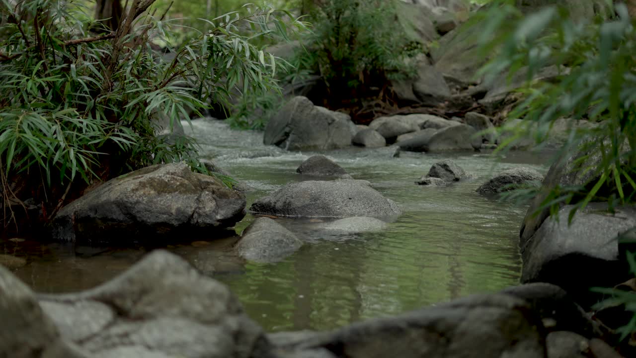 自然森林中瀑布的水流。视频素材