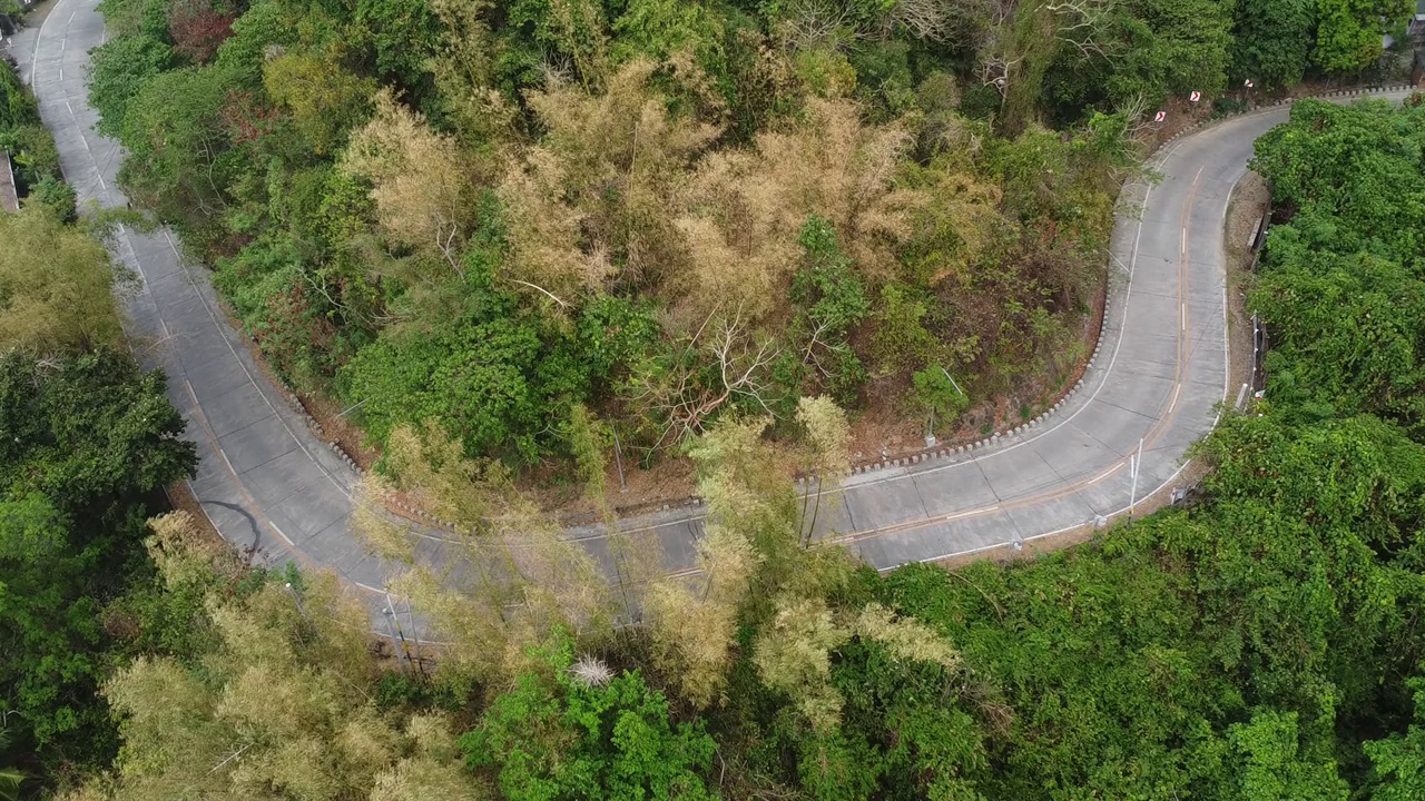 森林中道路的鸟瞰图。视频素材