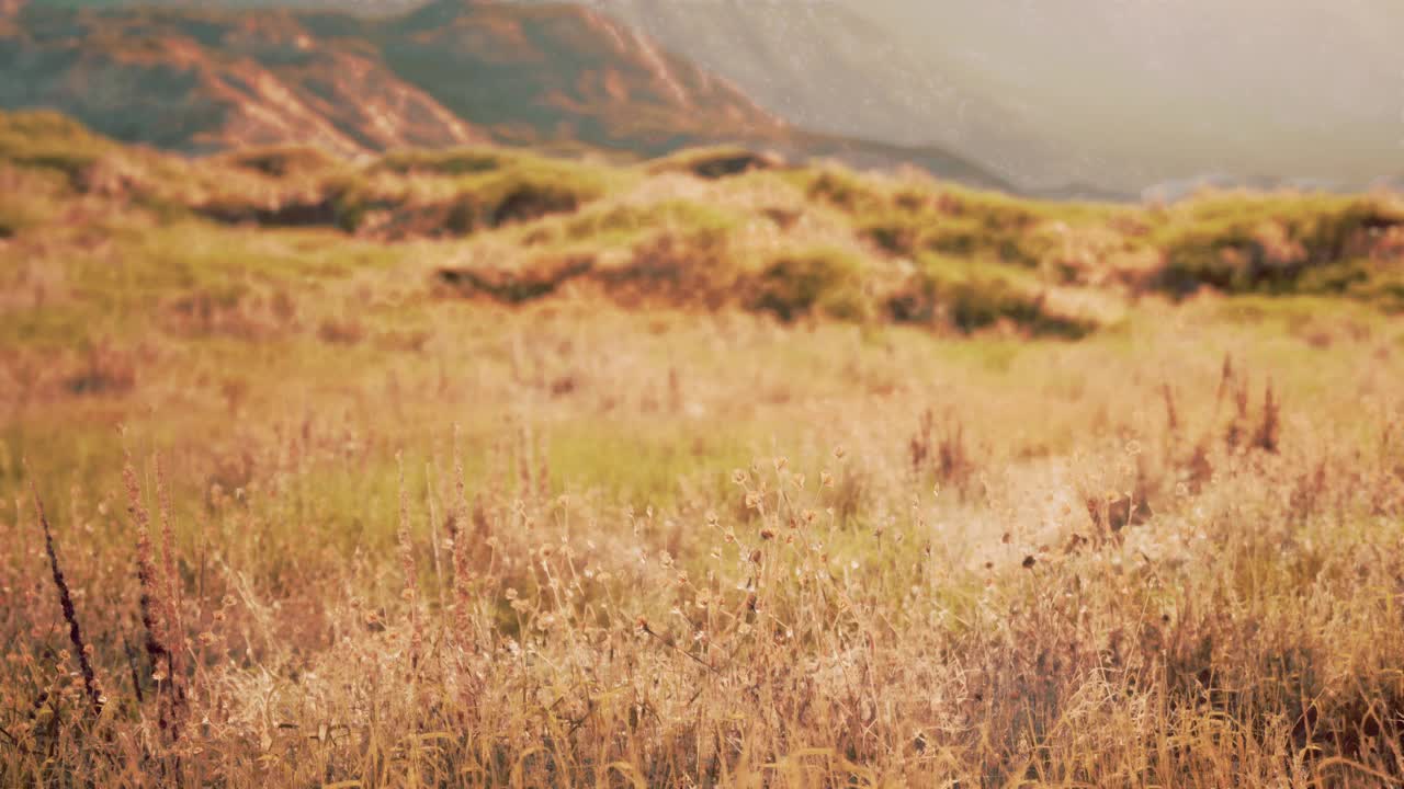 多山的沙漠远景与岩石地形和稀少的植被视频素材