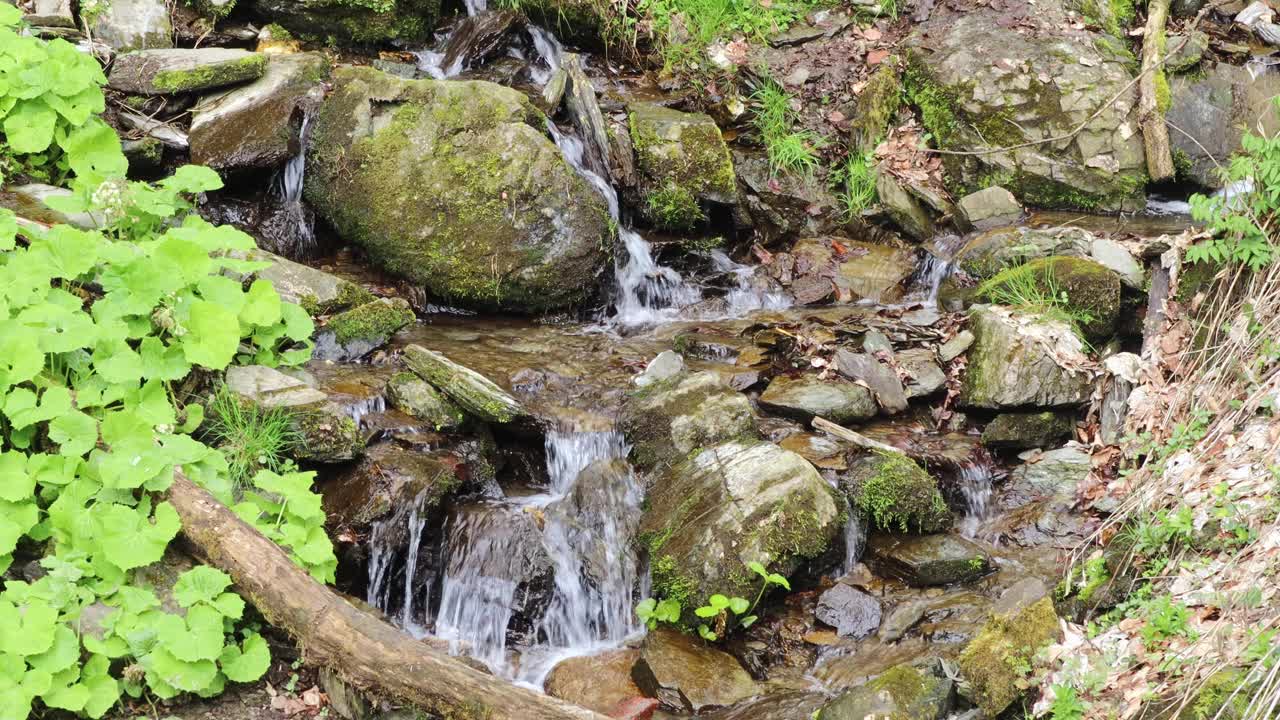 小溪在流，水滴落在石头上。视频下载