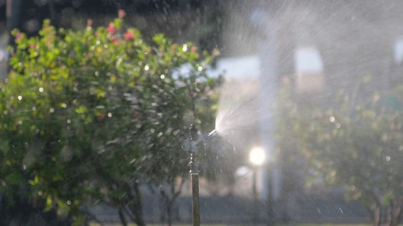 公园里的花园洒水器。园艺设备。给院子里的草浇水视频素材