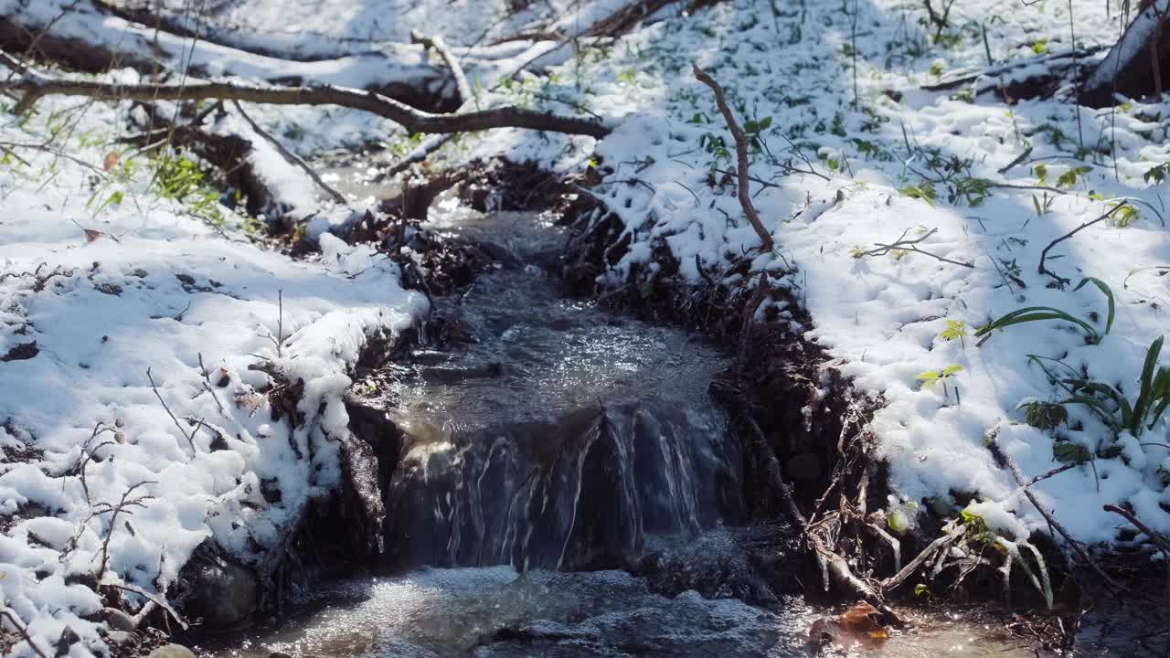 春林降雪后。春天的溪水。冬天的森林河。绿草如茵，花木结满了霜视频下载