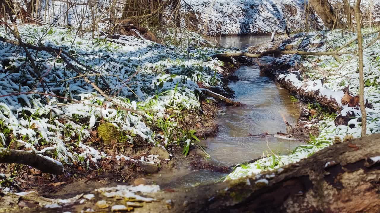 春林降雪后。春天的溪水。冬天的森林河。绿草如茵，花木结满了霜视频下载