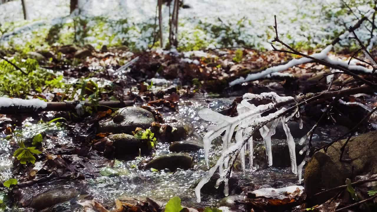 春林降雪后。春天的溪水。冬天的森林河。绿草如茵，花木结满了霜视频下载