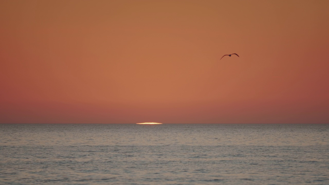 橘黄色的夕阳映在蓝色的海洋上。太阳在地平线上落下，海鸥在海浪上飞翔。视频素材