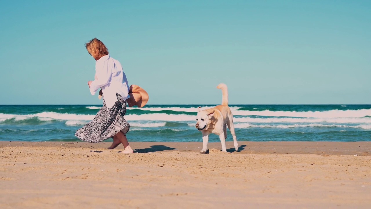 一位中年妇女和她的拉布拉多犬在沙滩上玩耍视频素材