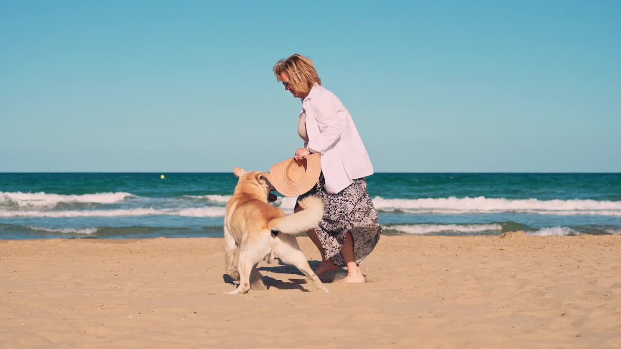 一位中年妇女和她的拉布拉多犬在海滩上玩耍视频素材