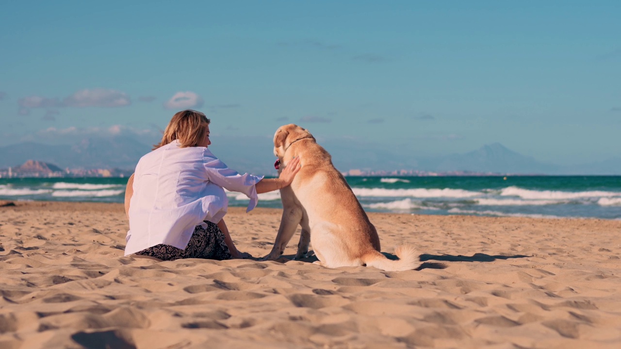 中年妇女坐在沙滩上抚摸着她的拉布拉多猎犬视频素材