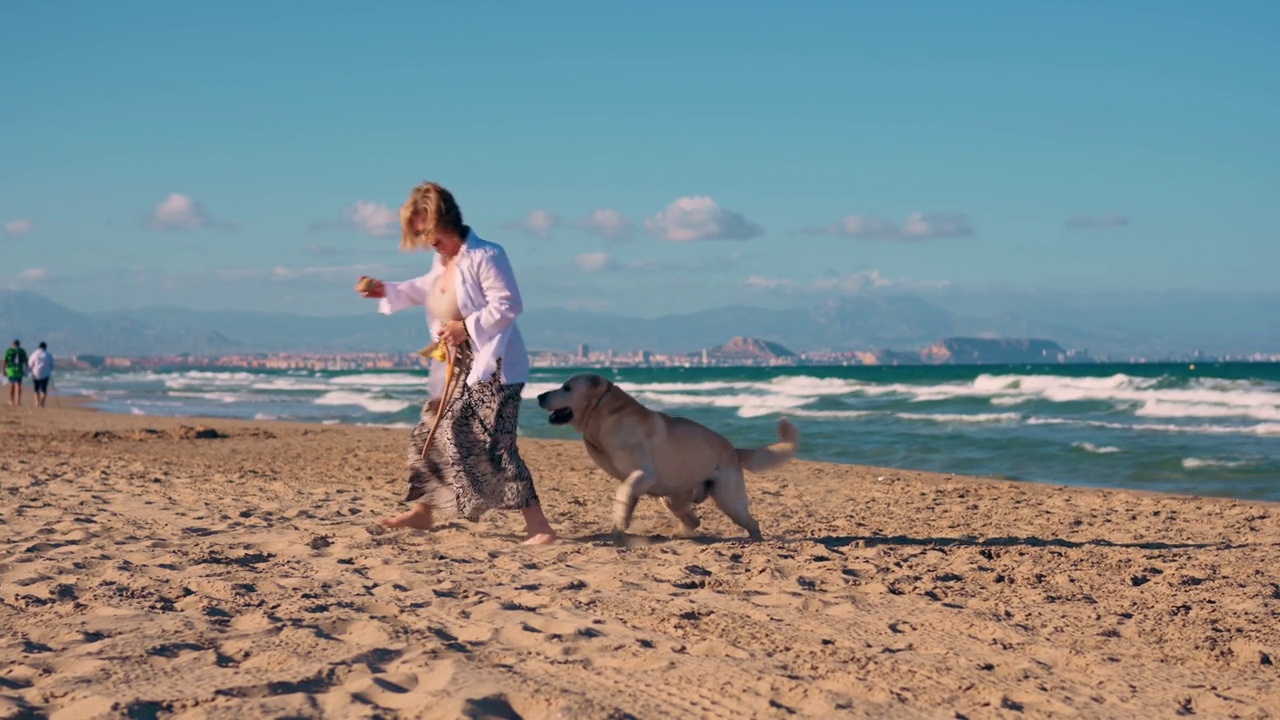 一位中年妇女和她的拉布拉多犬在海滩上玩耍视频素材