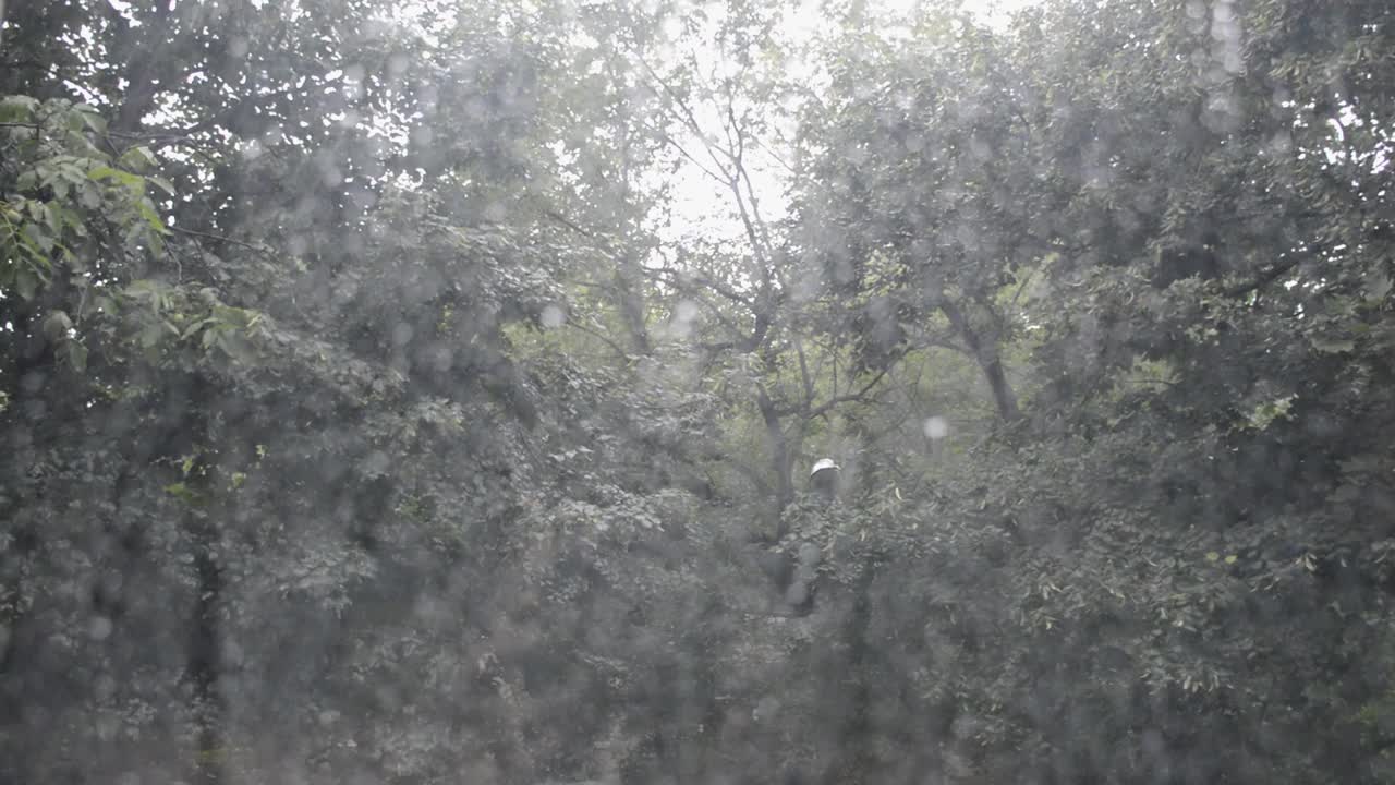 窗外倾盆大雨，狂风暴雨。多雨的天气视频素材