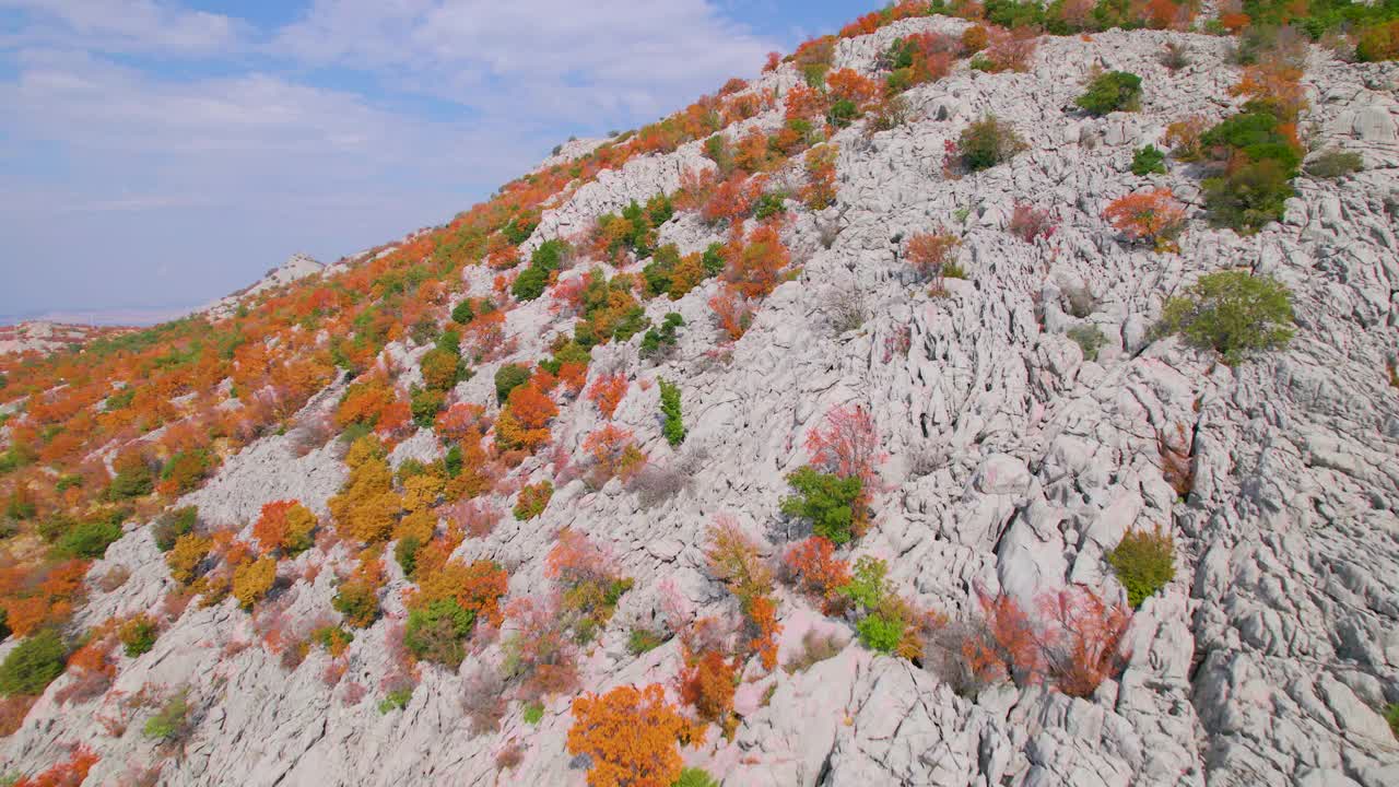 秋季的醒目色彩沿着崎岖的海岸景观蔓延视频素材