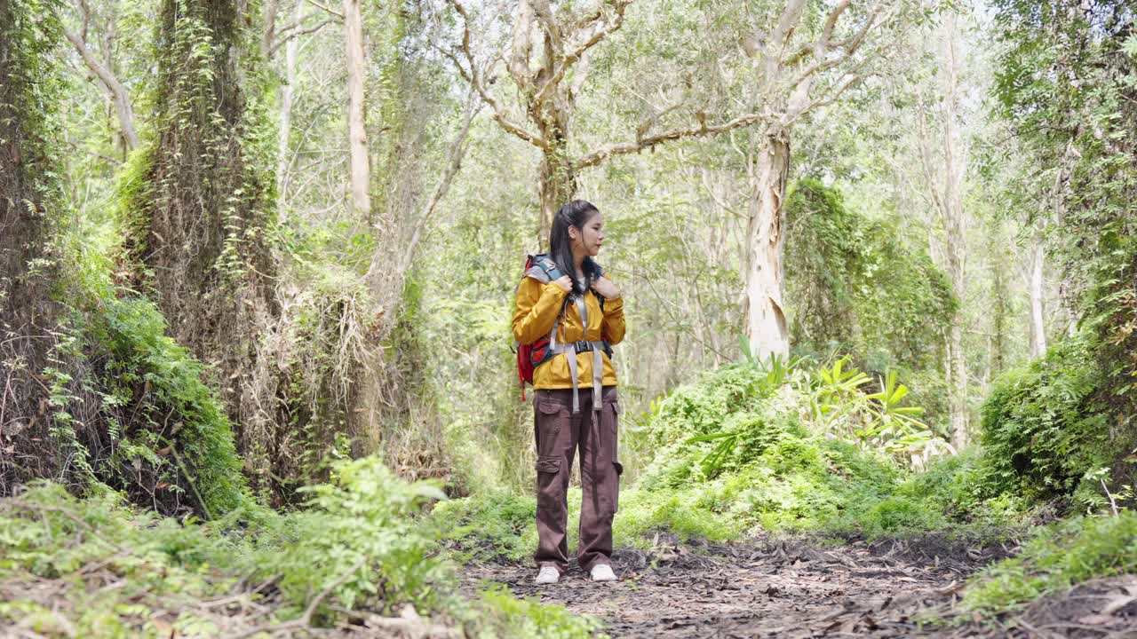 年轻的成年亚洲女性徒步旅行者带着背包徒步旅行在热带森林，徒步探险户外活动人们的生活方式在假期。视频素材