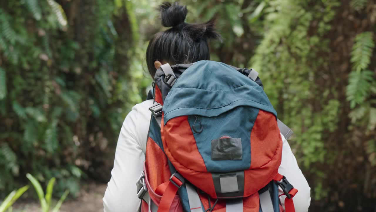 年轻的成年亚洲女性徒步旅行者带着背包徒步旅行在热带森林，徒步探险户外活动人们的生活方式在假期。视频素材