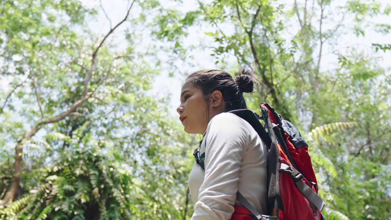 快乐的亚洲女徒步旅行者背着背包，举起双手，在森林中旅行，感受大自然的清新和自由。视频素材