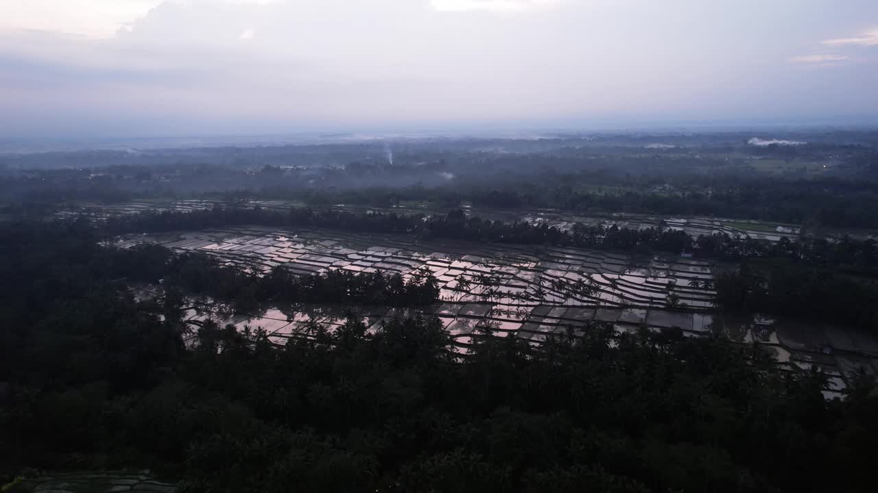 稻田在收获后被水淹没，黄昏航拍视频素材