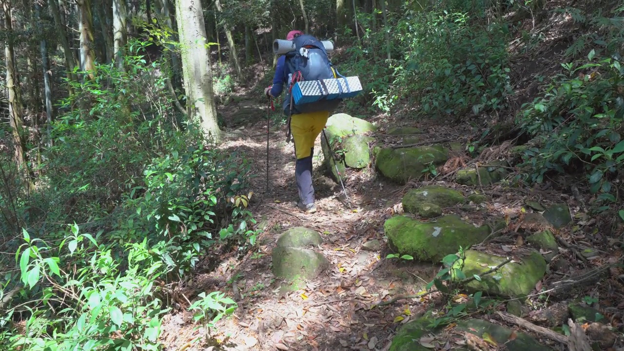 4K背包客在晴朗的天空下在山上、森林和田野里徒步旅行视频下载