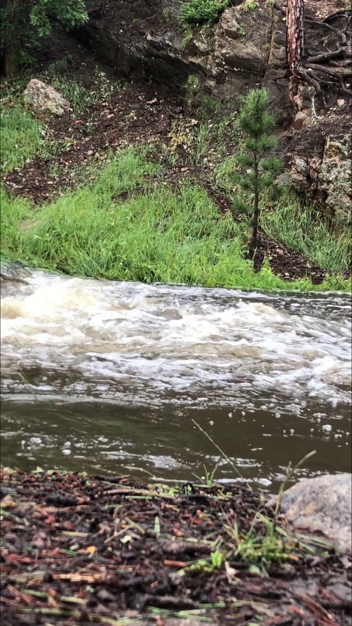 倾斜拍摄，一条小溪在雨后顺着山坡流下来，带有自然的声音视频素材