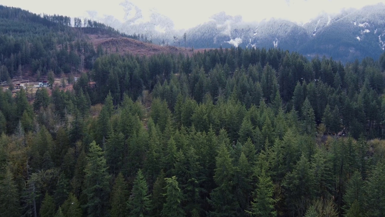 迷人的雾景:空中之旅穿过山谷，点缀着迷雾山脉，迷人的房子，和茂密的森林视频素材