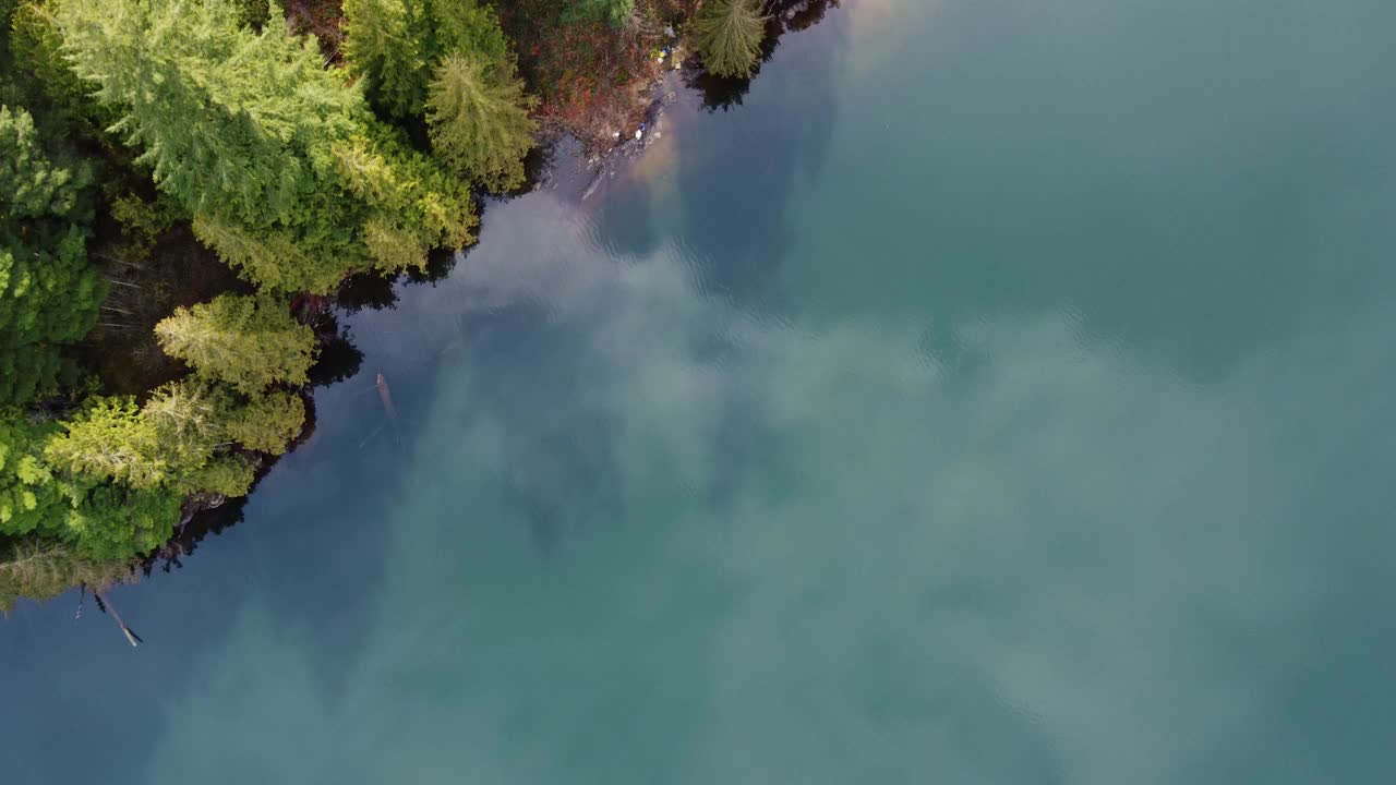 湖边的魅力。在阴天的空中欣赏宁静的海水和绿树视频素材