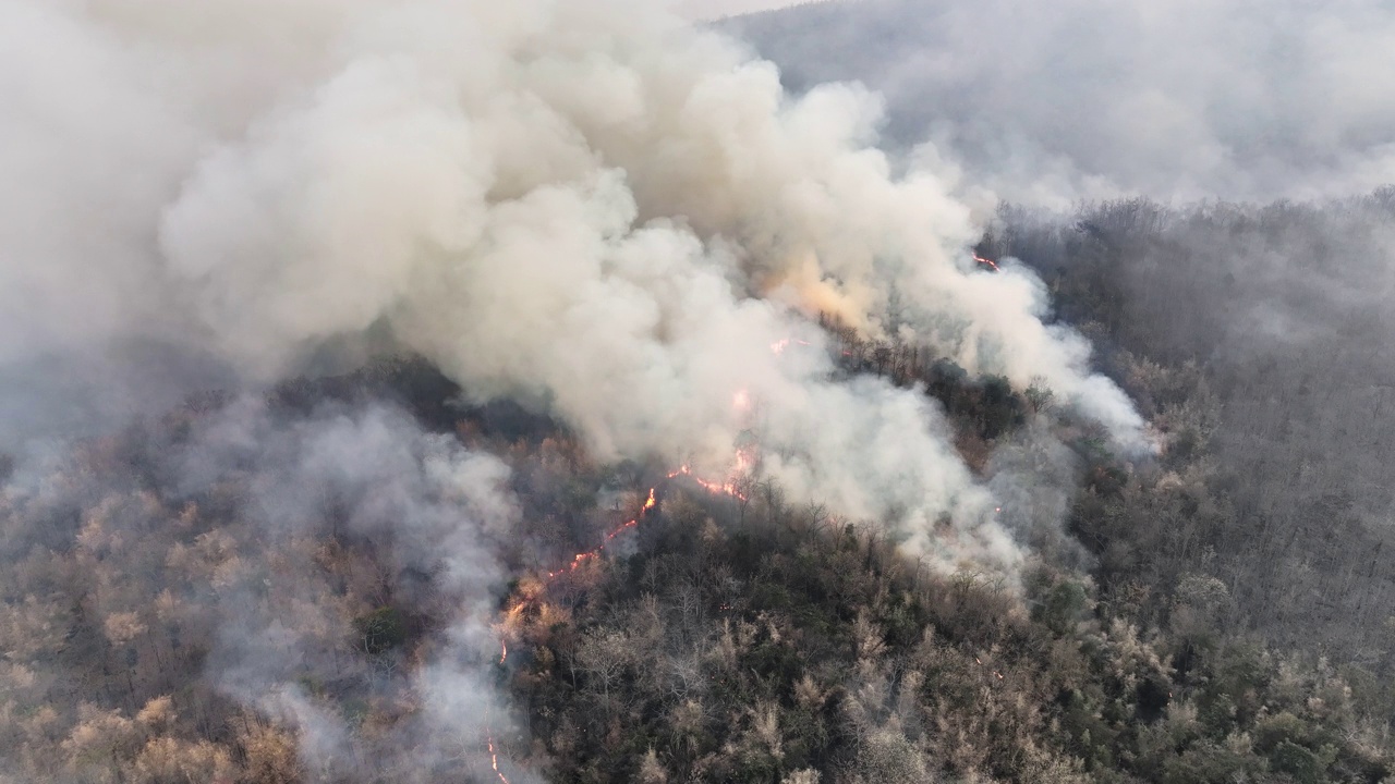 气候变化:野火释放的二氧化碳(CO2)和其他温室气体(GHG)导致气候变化和全球变暖。视频素材