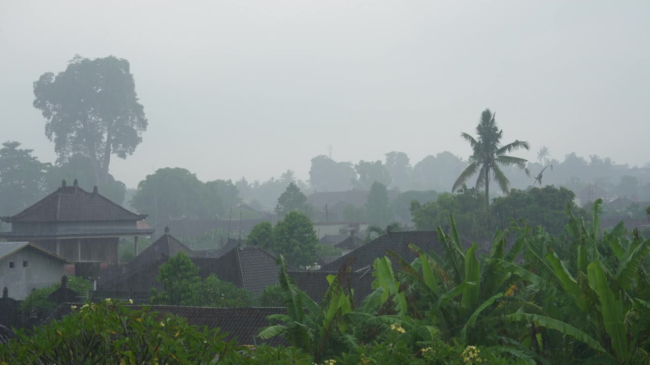 巴厘岛的热带雨视频素材