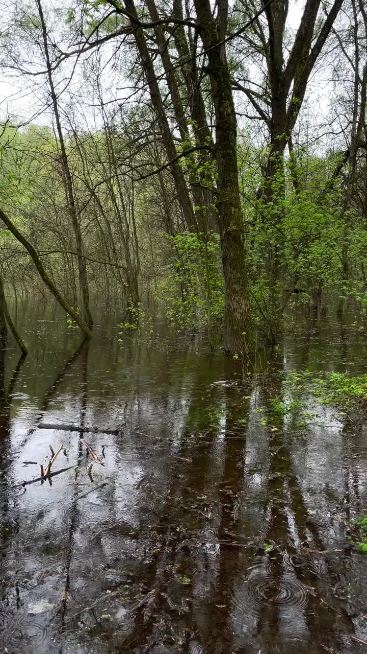 河岸上的夏雨气氛视频素材