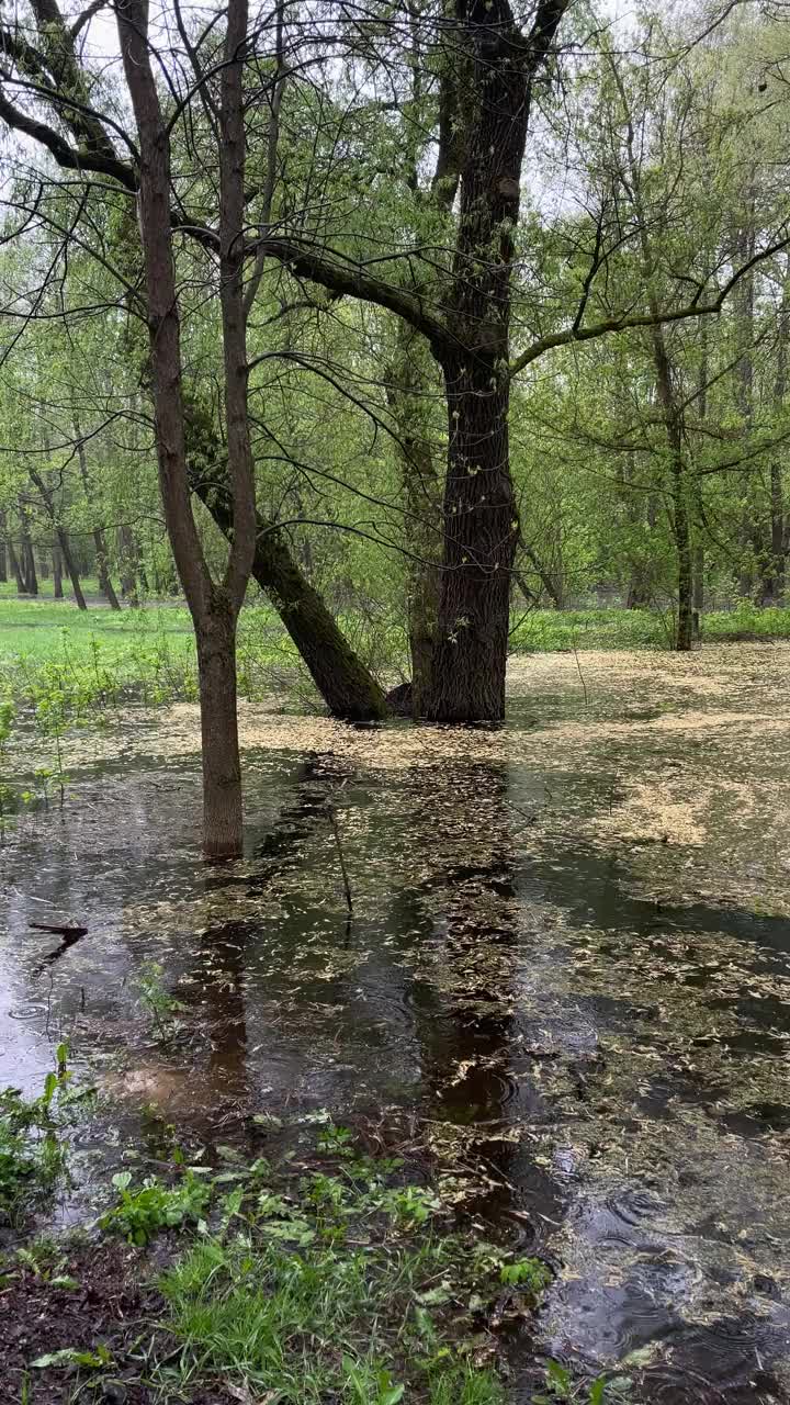 河岸上的夏雨气氛视频素材