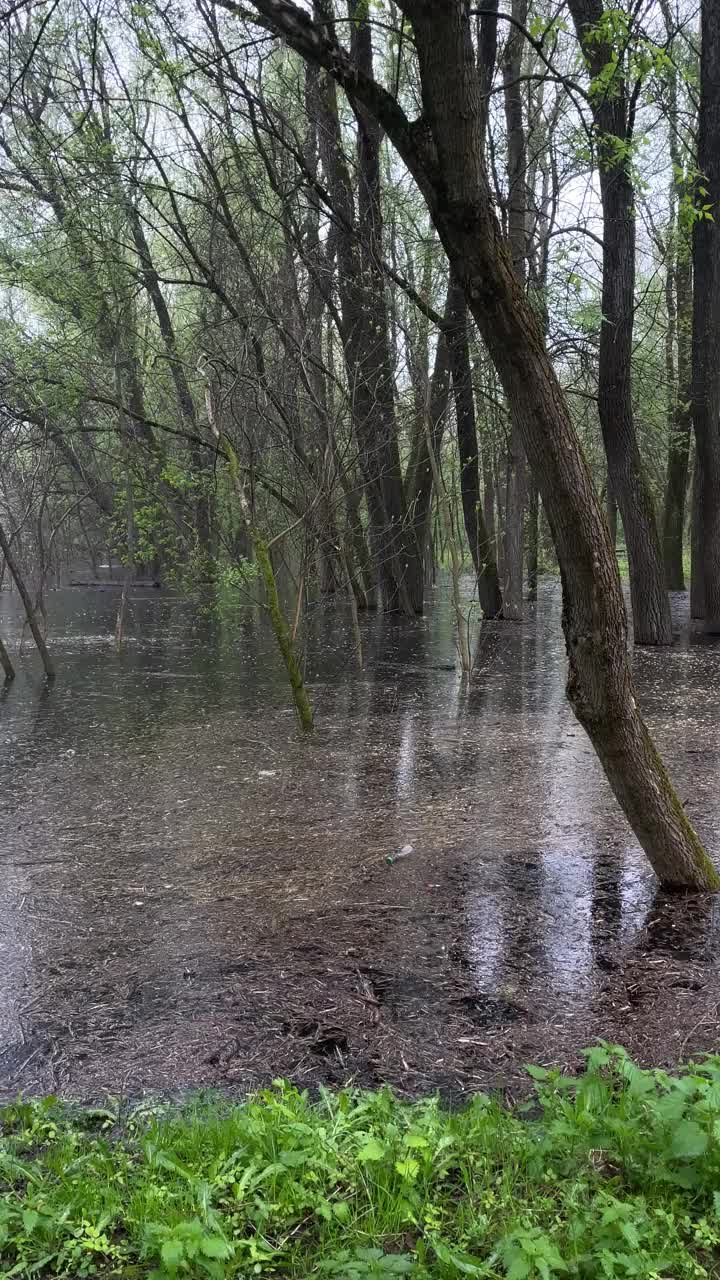 河岸上的夏雨气氛视频素材