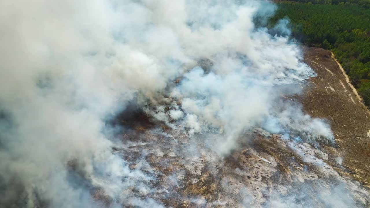 鸟瞰图:森林大火产生的白烟上升，污染了大气。自然灾害概念视频素材