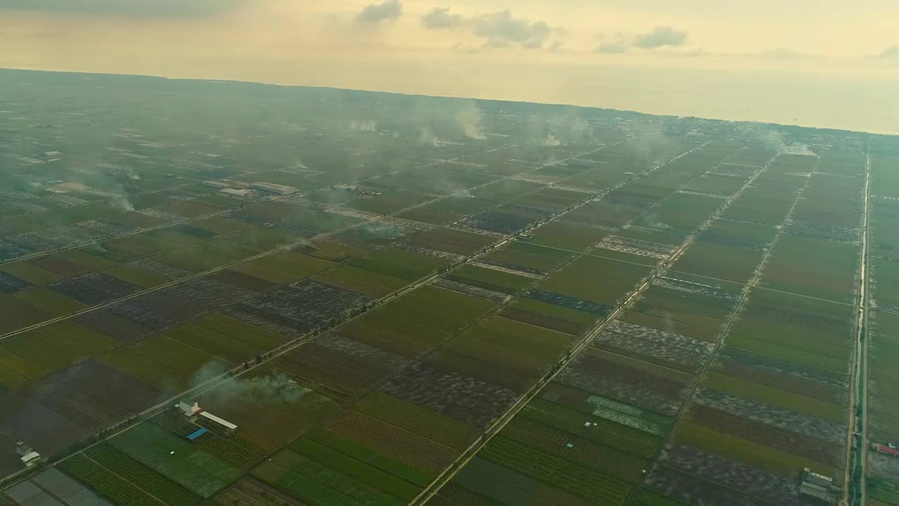 无人机稻田夕阳视频素材