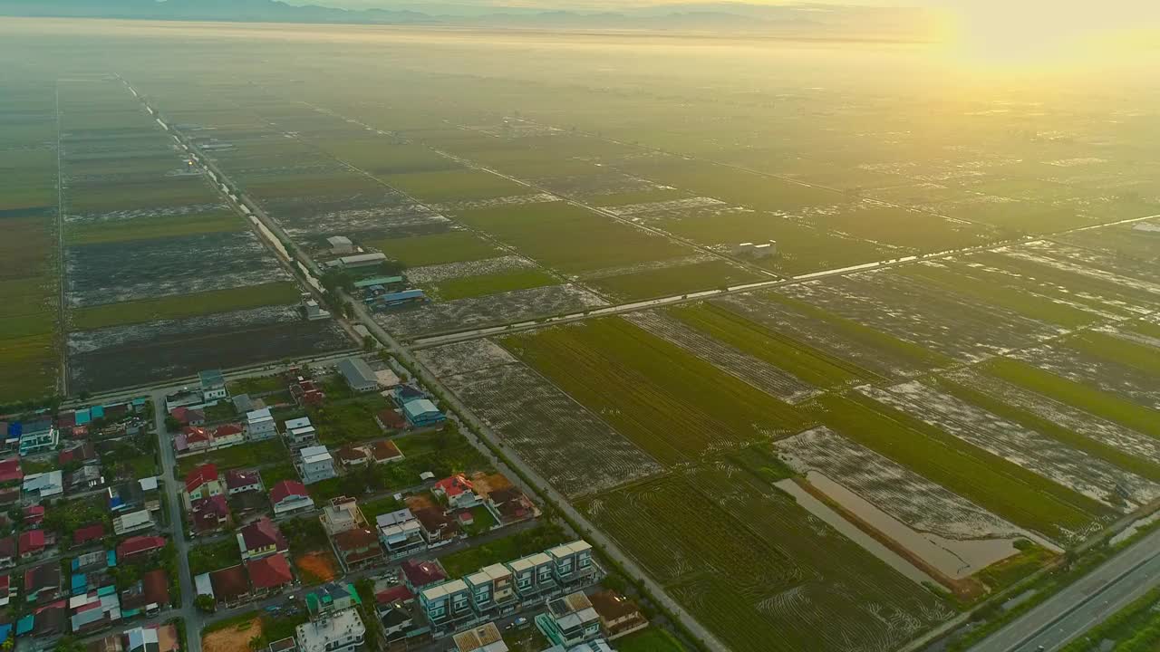 日落稻田无人机拍摄视频素材