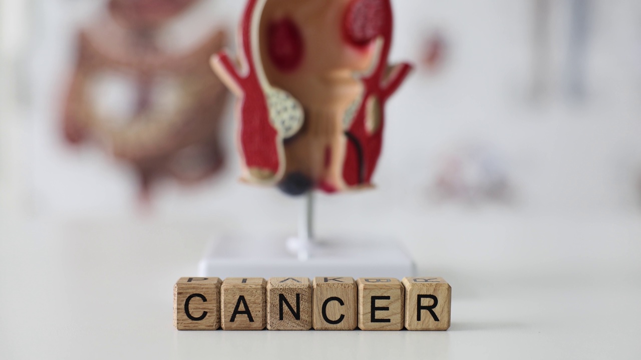 Word Cancer:由木头立方体构成，对抗直肠视频素材