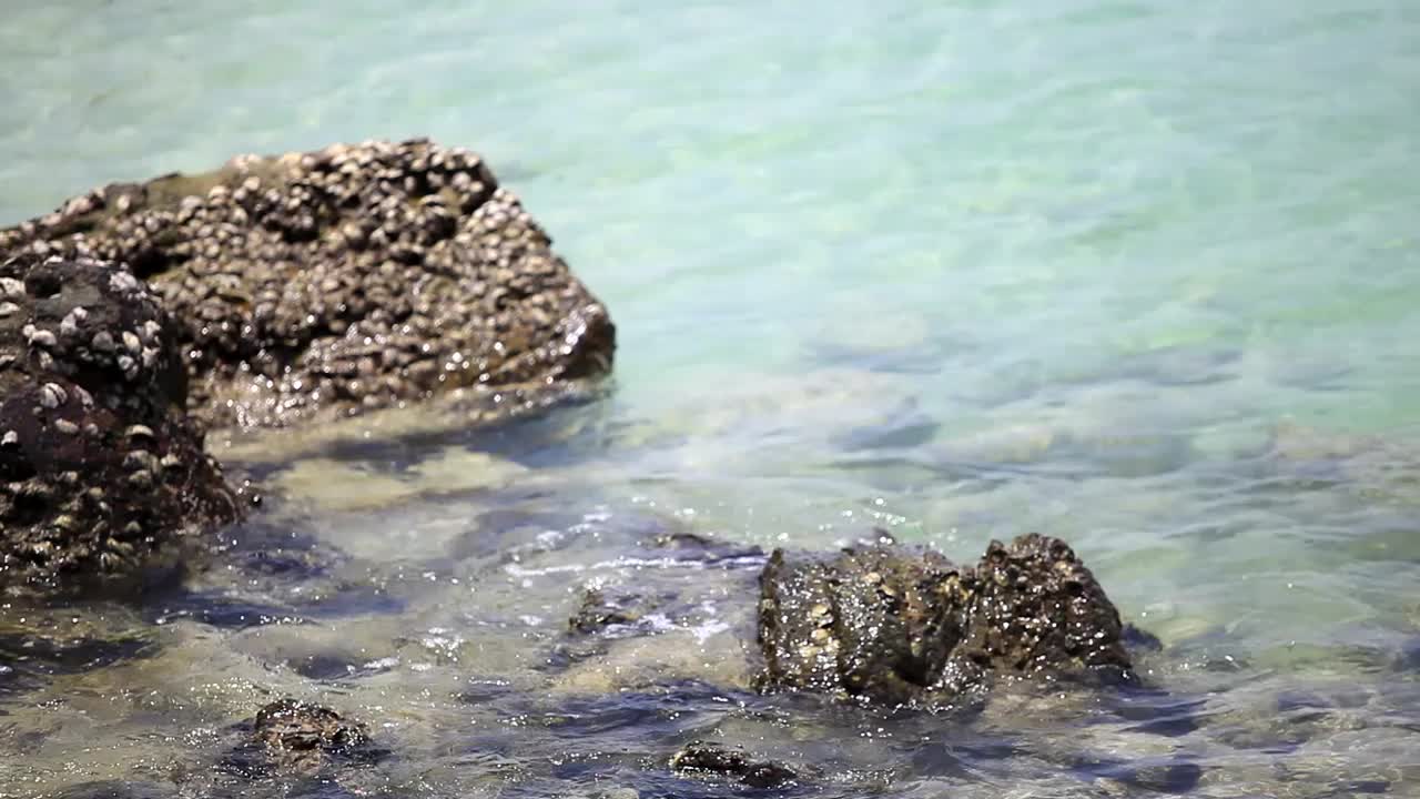 海浪在海上撞击岩石。视频素材