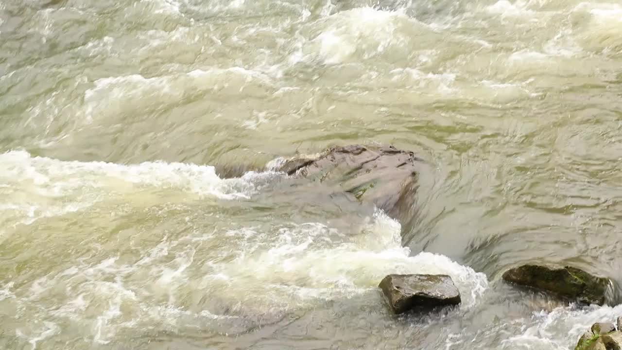 喀尔巴阡山脉的一条河流，在乌克兰秋天的白天以湍急的水流为背景视频素材