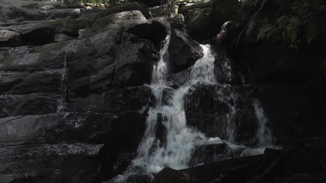 水从森林中的岩石瀑布中流出视频素材