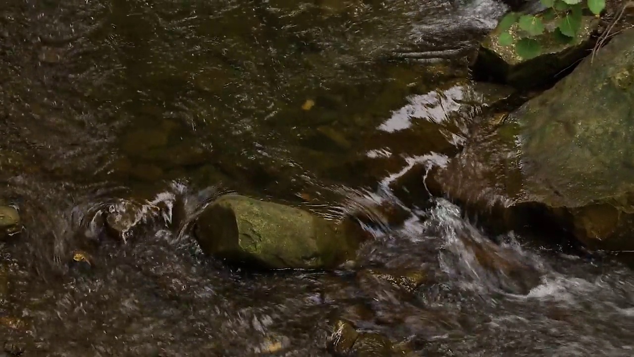 喀尔巴阡山脉的河流，在乌克兰秋天白天的背景中有一个快速的水流视频素材