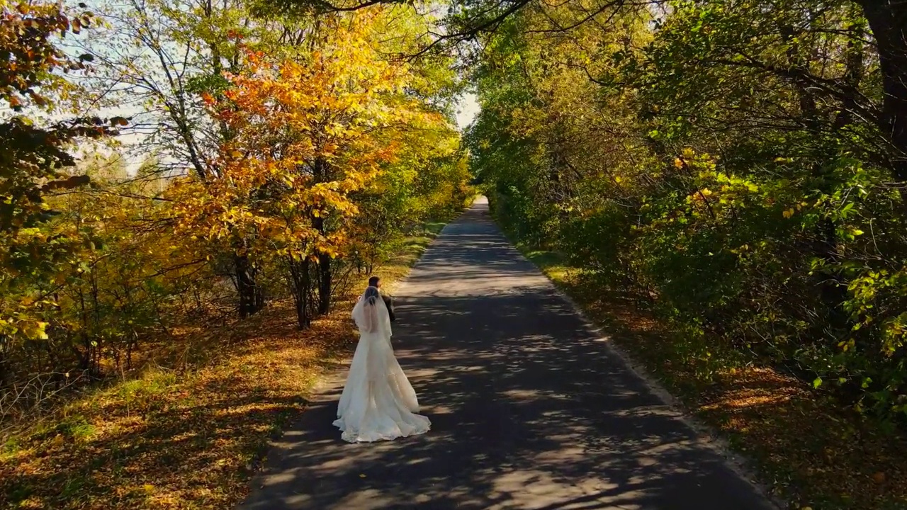 一对新婚夫妇在美丽的秋天森林里的无人机航拍画面。视频素材