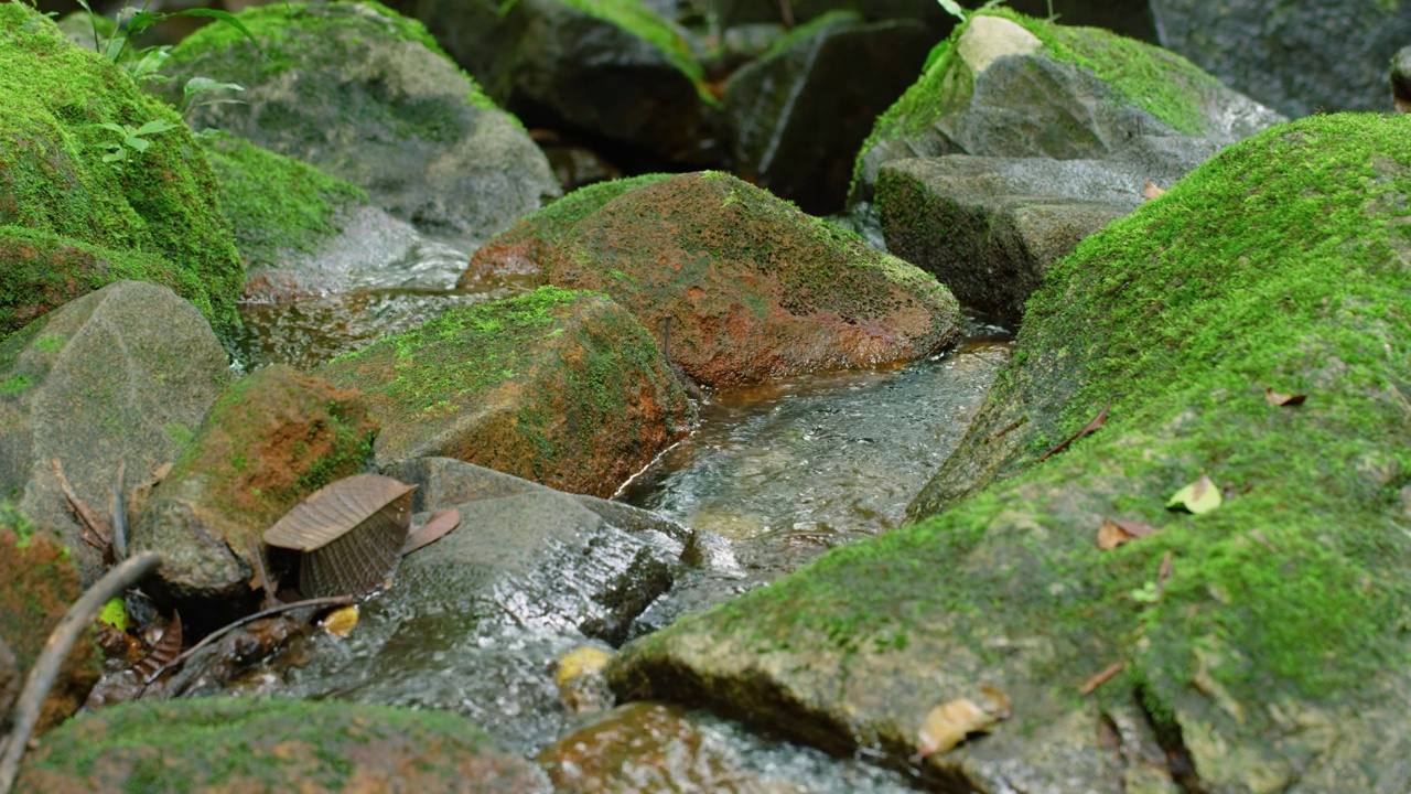 水流穿过带有藻类的岩石。马达加斯加岛视频素材