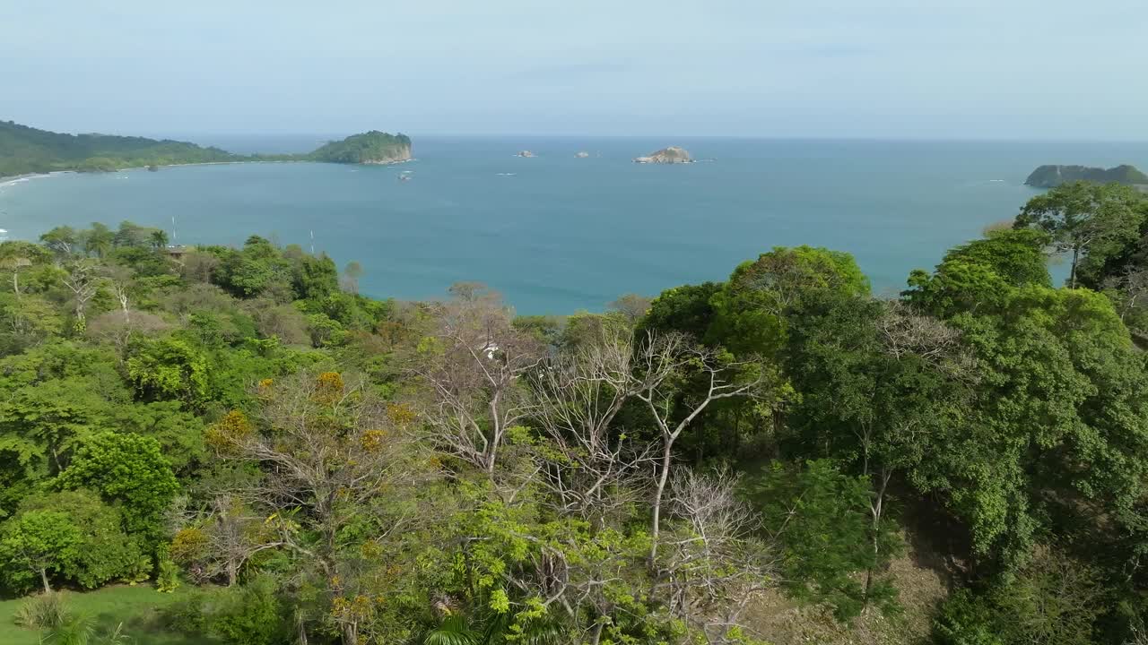 令人难以置信的自然景观-蒙特韦德地区-哥斯达黎加。视频素材