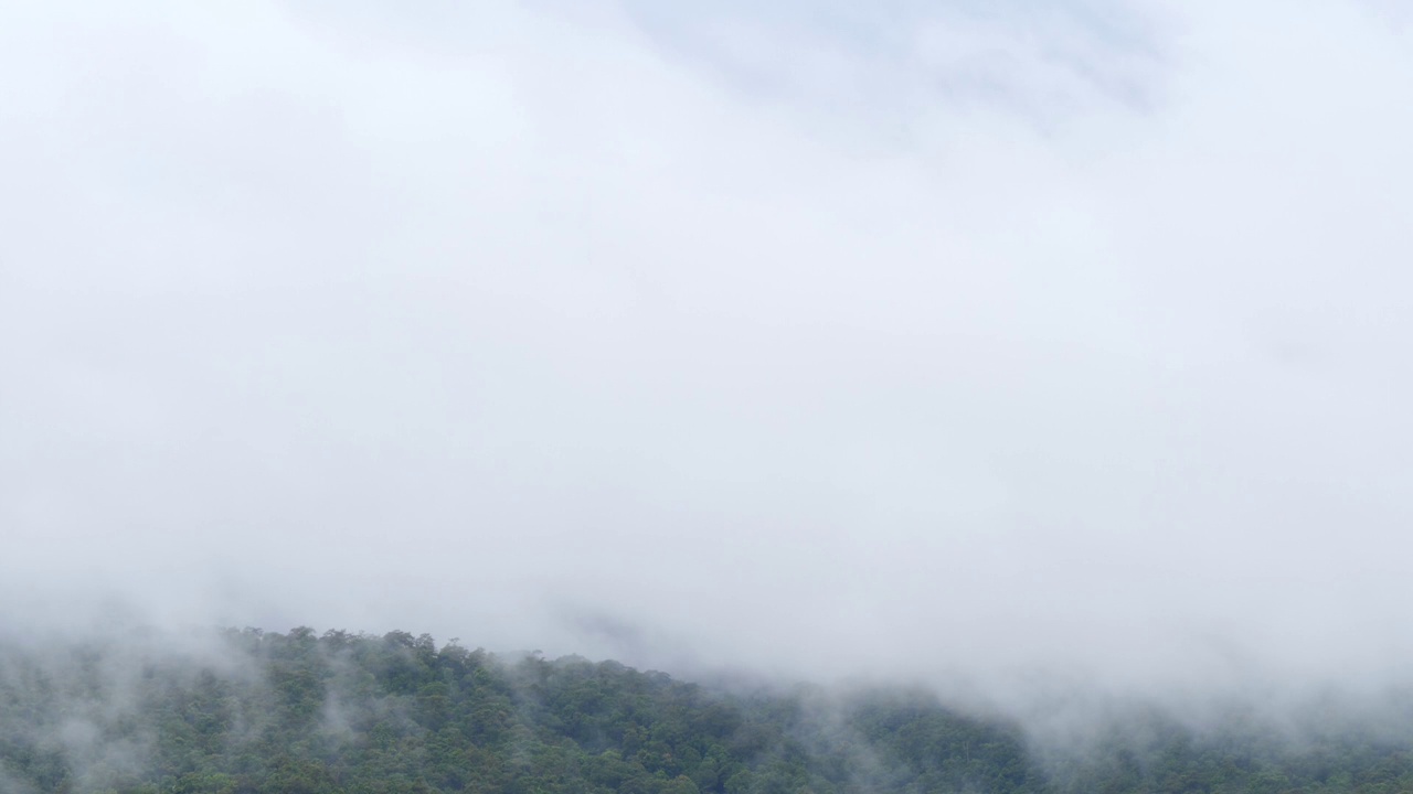 快速特写b-roll场景白色蓬松的雨云吹盖在山上，潮湿的雾遮蔽了一座山，浓雾隐藏了一个森林在雨季视频素材