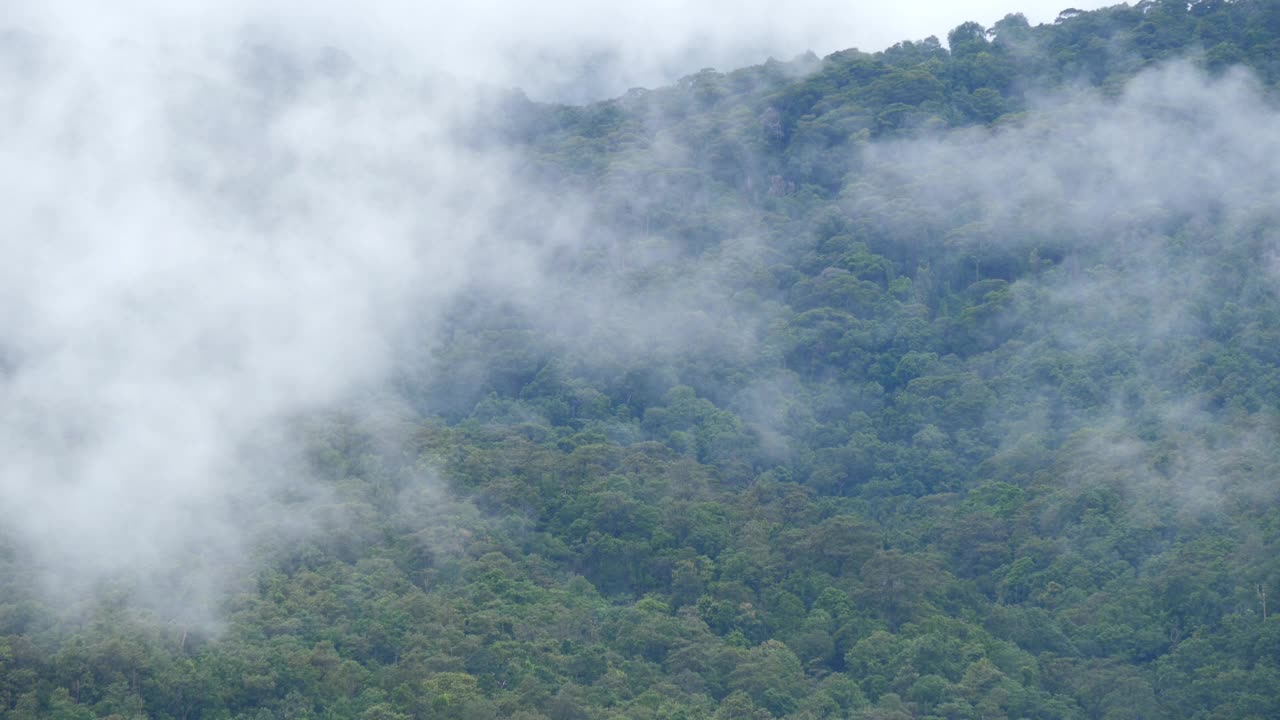 特写b-roll场景，白色蓬松的云漂浮在山上作为自然背景，潮湿的雾遮蔽了一座山，雾气隐藏了雨季的森林。视频素材