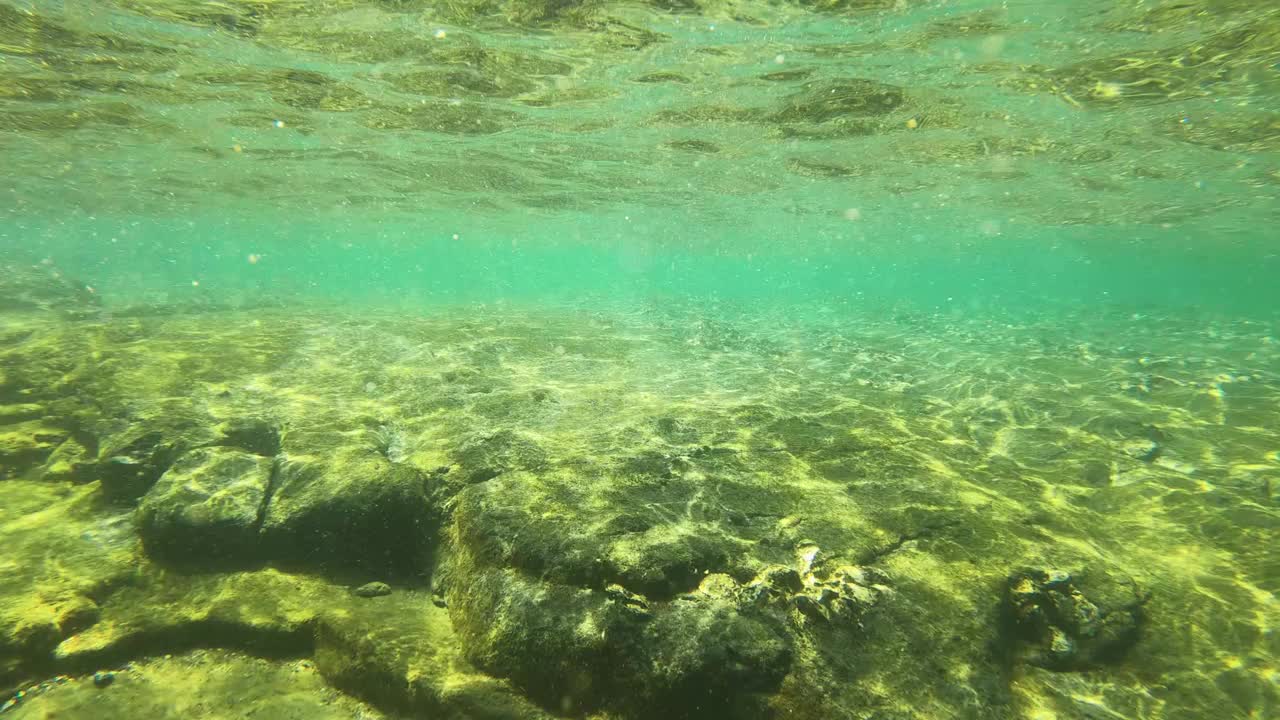 在亚洲台湾澎湖西玉坪屿的潮汐池中游泳，岩石上有牡蛎和死珊瑚碎片，底部有石头，白天阳光的色调和反射光闪闪发光视频素材