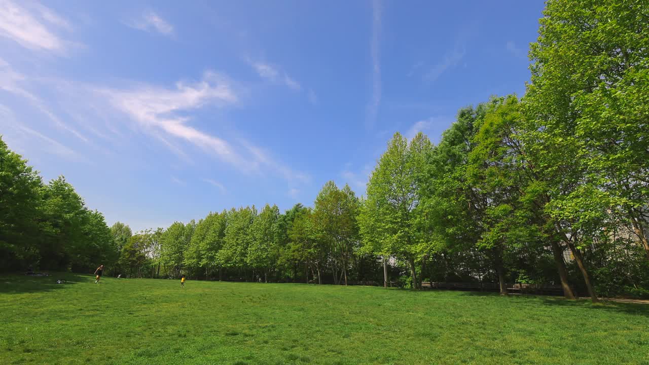 在纽约市布鲁克林大桥公园的草坪上，一排生长着的新鲜的绿树环绕着视频素材