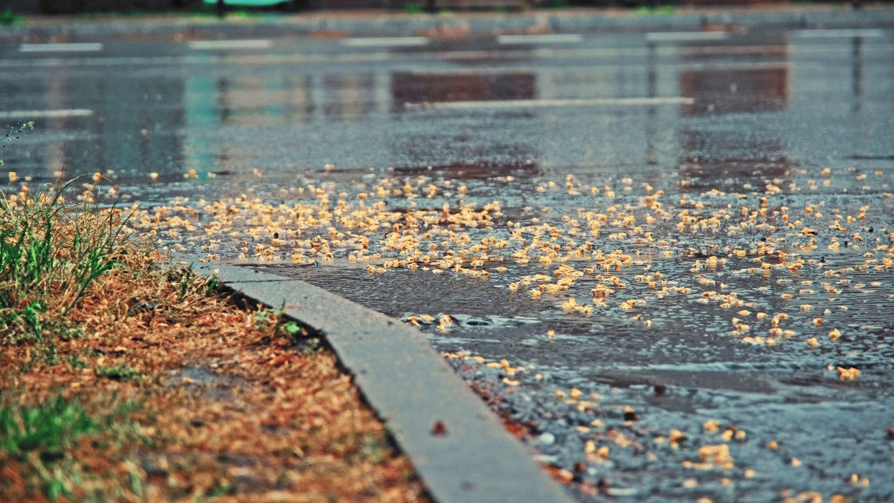 下雨天街道路边流淌的脏雨水视频素材